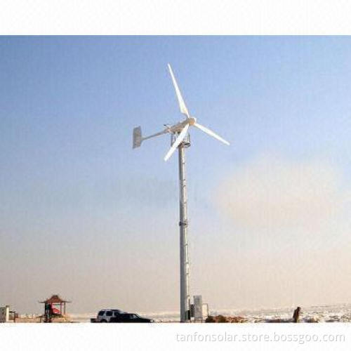 Wind Power Turbine Generators, 1000WP/48V DC, Best Price for House